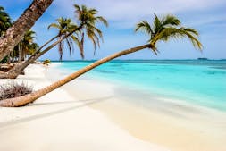 Best cruise lines in the caribbean photo