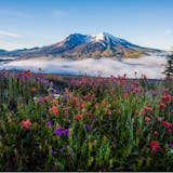Private Mt. St. Helens