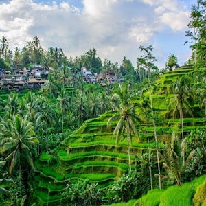 Private Ubud Exploration for a Day