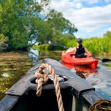 Kayaking the Mangroves