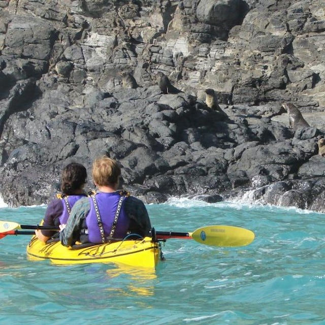 Sea Kayaking Adventure image 1