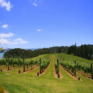 Private Bay of Islands Highlights with Wine Tasting