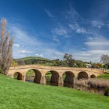 Exclusive Richmond & Tasmanian Devils
