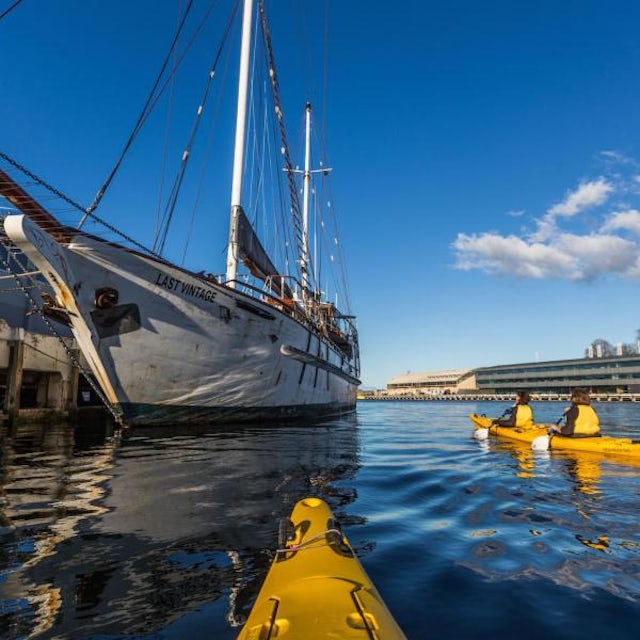 Hobart Waterfront Kayak Adventure