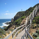 Private Mornington Peninsula Discovery