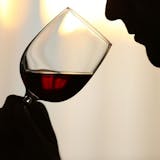 Martinborough Wine Tour Extravaganza