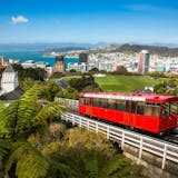 Full Day in Wellington