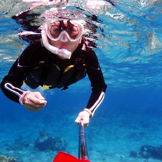Best Bermuda Snorkel Adventure