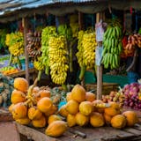 A Taste of the Dominican Republic