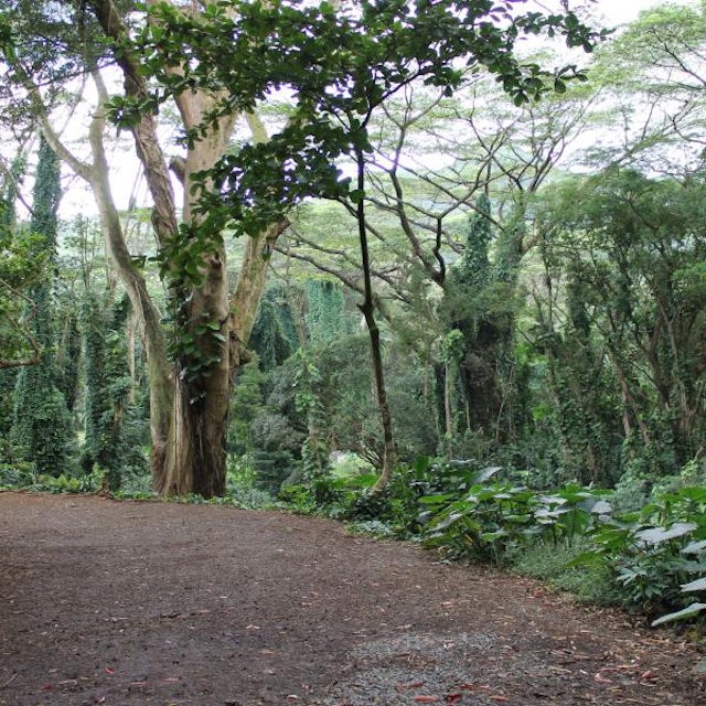 Hike to Pillars of Hercules