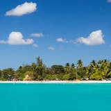 Barbados Beach Day and Turtle Swim