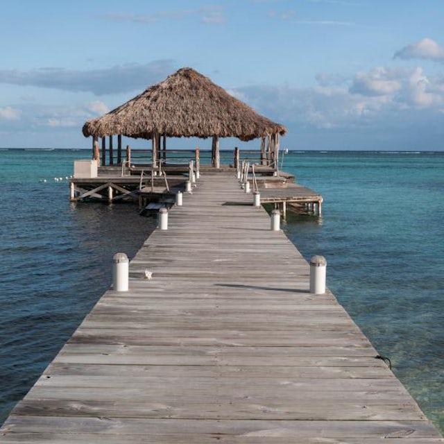Ambergris Caye On your Own image 3