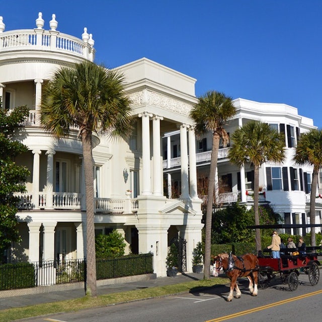 Charleston Historic Carriage Ride Post Cruise image 3
