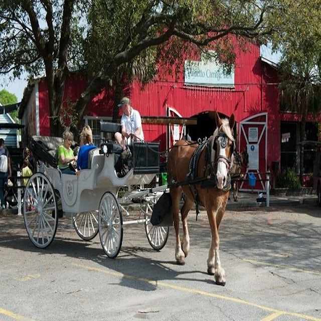 Charleston Historic Carriage Ride Pre Cruise image 2
