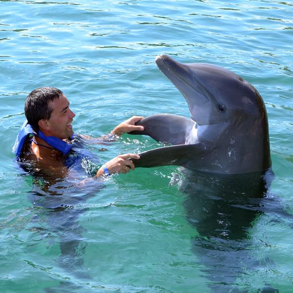 Dolphin Swim Adventure at Chankanaab National Marine Park