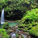 Special Dominica Favorites