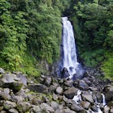 Private Special Dominica Favorites