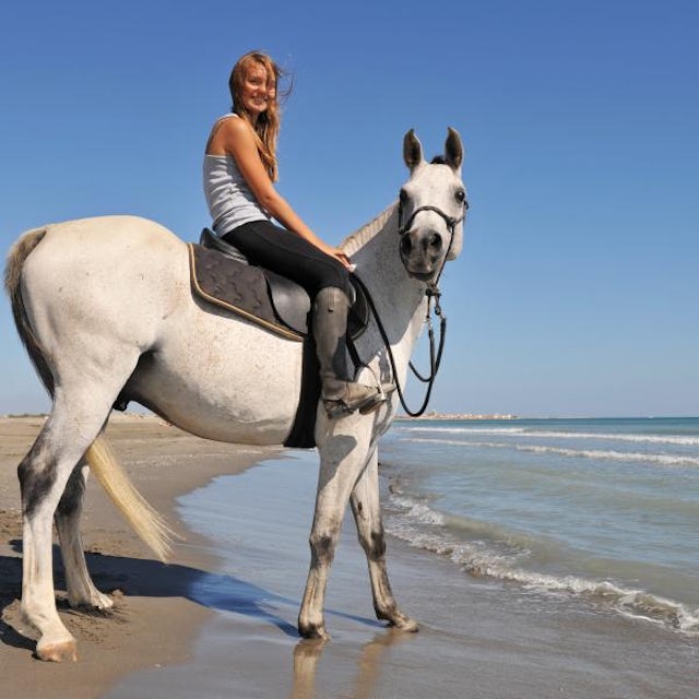 Beach Horseback Ride image 1