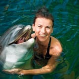 Dolphin Close Encounter