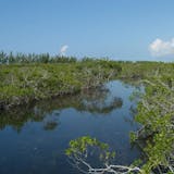 Lucayan National Park & Cave Tour
