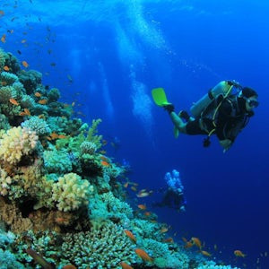 Two Tank Reef Dive