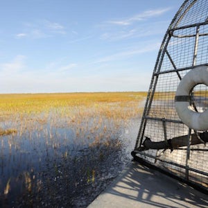 Florida Everglades Airboat and Wildlife Experience