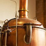 Cayman Rum Making & Tastings