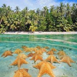 Stingray City, Barrier Reef and Starfish Beach