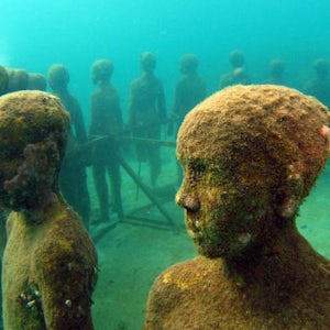 Snorkeling Grenada's Underwater Sculpture Park and Reefs