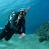 Certified Grenada One Tank Dive
