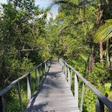 Highlights of Limon