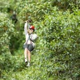 Canopy Zip Line and Banana Plantation