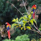 Private Vehicle and Guide Full Day