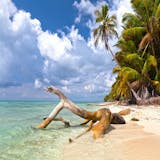 Private Saona Island Eco Adventure