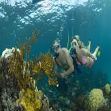 SNUBA in the Bahamas