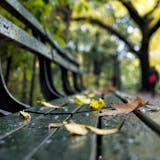 Amazing Mid Central Park Scavenger Hunt