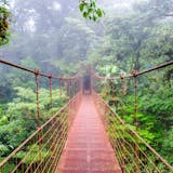 Monteverde Cloud Forest, Hanging Bridges and Coffee Tour