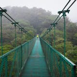 Monteverde Cloud Forest, Hanging Bridges and Butterflies Garden