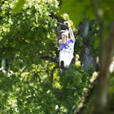 Puntarenas Zipline Canopy & Crocodile Safari