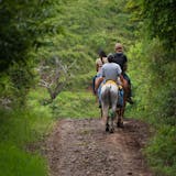 Horseback Riding with Safari Boat Combo