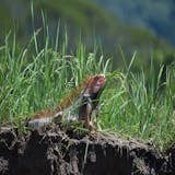 Private Charming Puntarenas