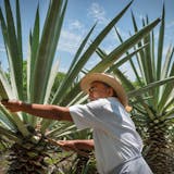 Private Hacienda Zamna and Horseback Ride