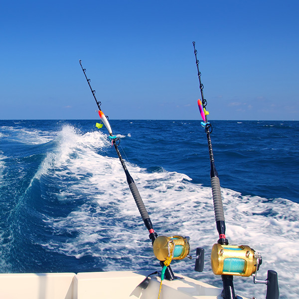 Fishing Charter Full Day