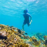 White Water Drift Snorkel and Sloth Hangout
