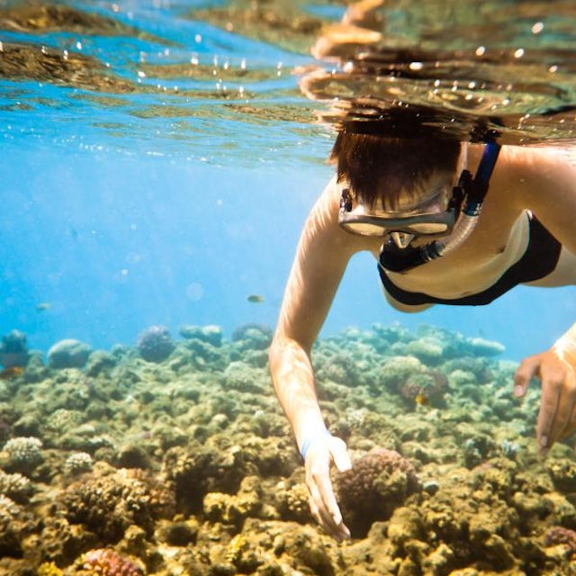 Snorkel Adventure