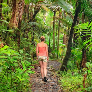 El Yunque Rainforest Hike