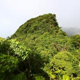 A Volcano Hiking Adventure