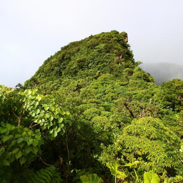 A Volcano Hiking Adventure image 1