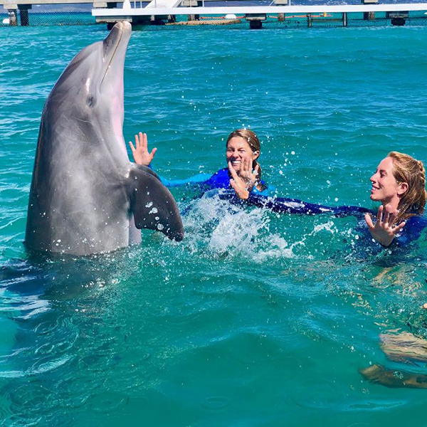 Dolphin Swim, Coral World, and Coki Beach