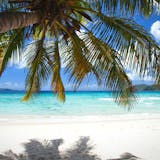 Tortola Beach Day